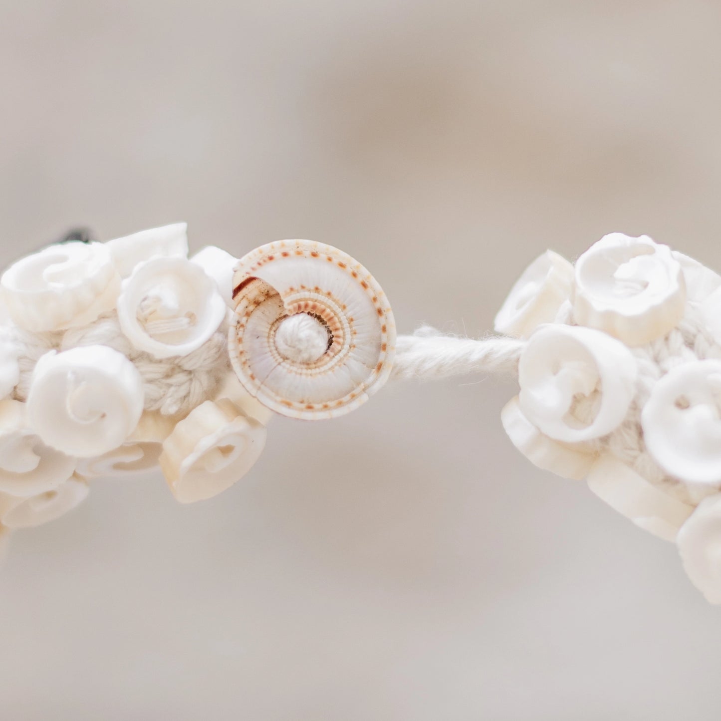 Small Shell Necklace