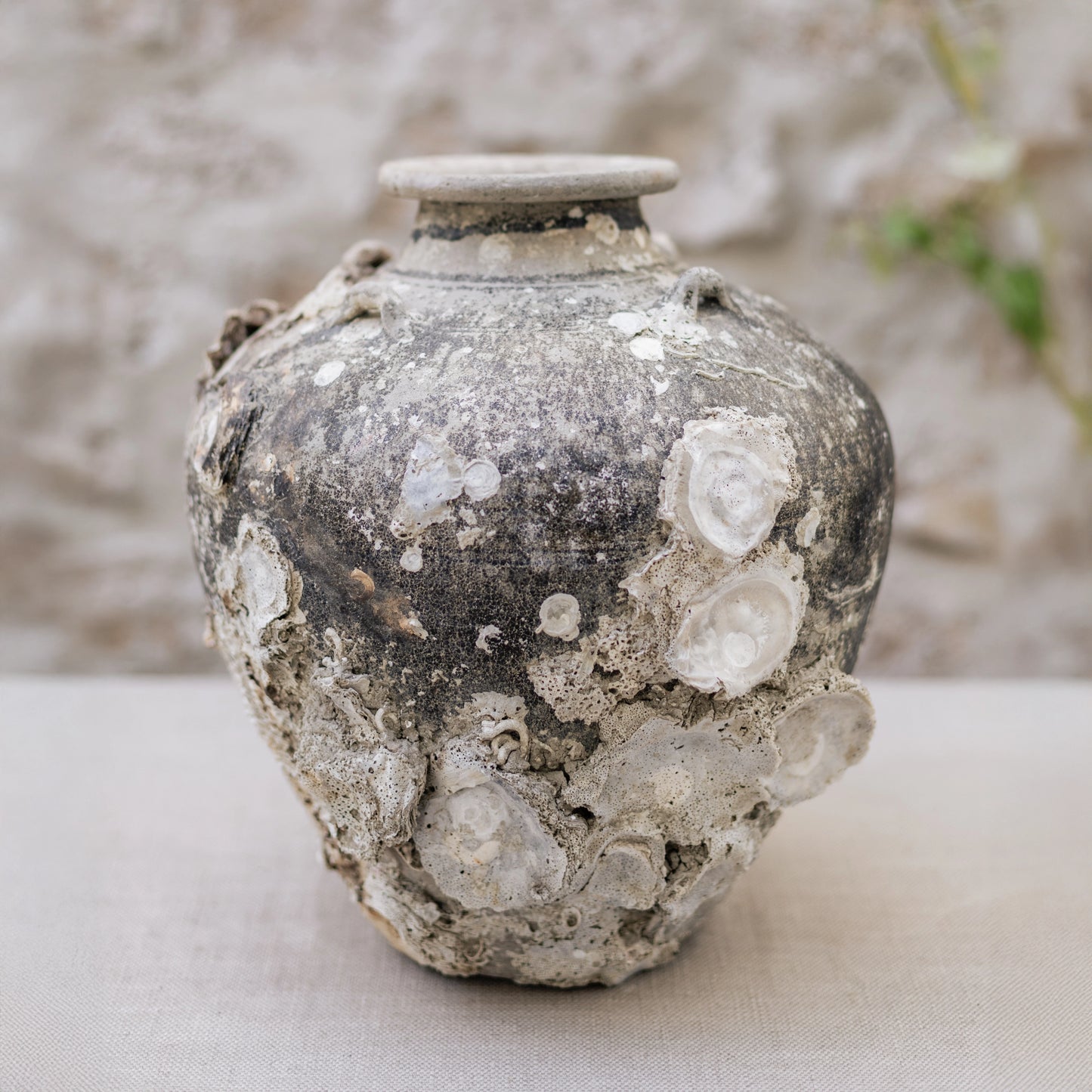16th Century Sawankhalok Vase