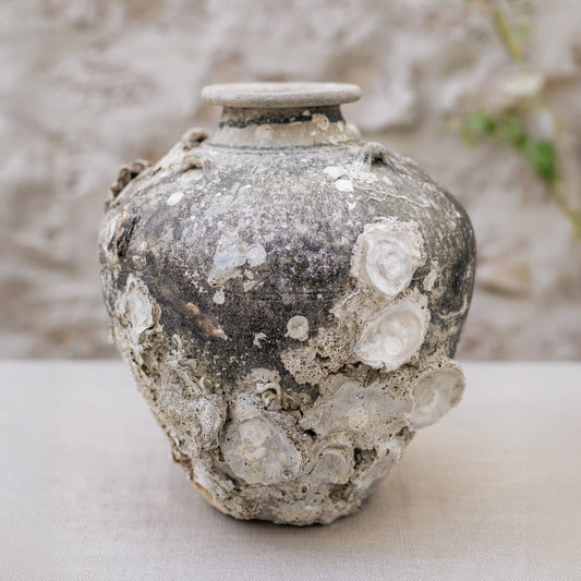 16th Century Sawankhalok Vase